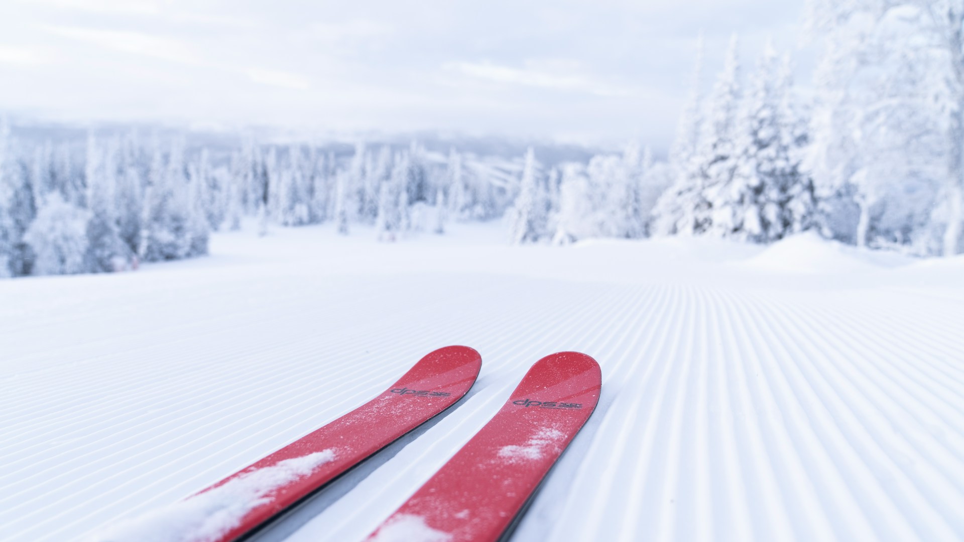 ski intermédiaire