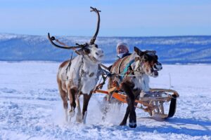 premier voyage en laponie
